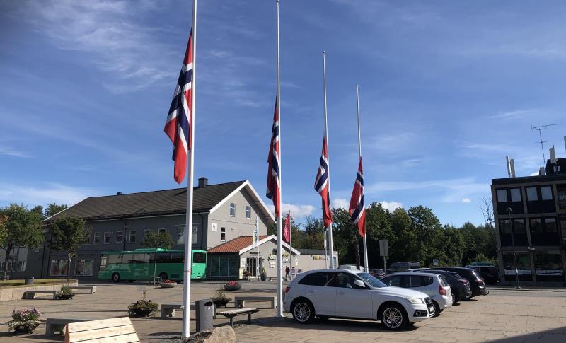 Lenke til artikkel: Om flagging i forbindelse med sørgeperioden  