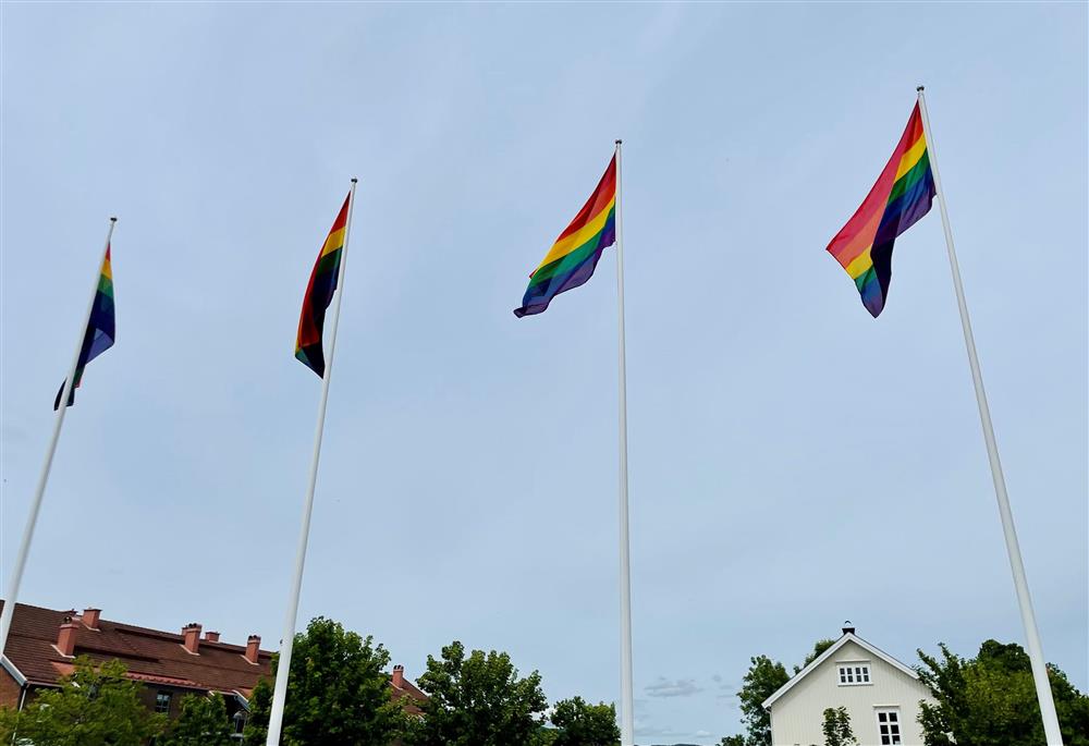 Regnbueflaggene på Sande torg - Klikk for stort bilde