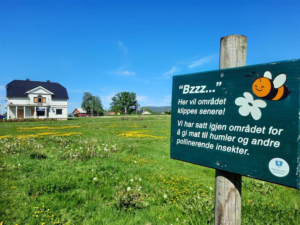 Blomstereng og informasjonsskilt om utsatt klipping - Klikk for stort bilde